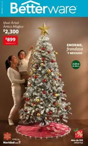 Catálogos BETTERWARE México 2025