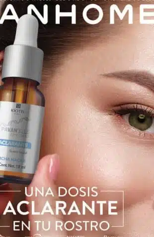 Catálogo STANHOME México C17 Noviembre 2025 PDF