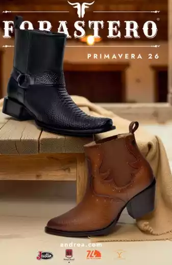 Catalogo Andrea forastero Primavera 2026