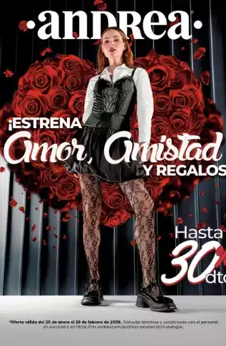 Catalogo Andrea Amor y Amistad Febrero 2026