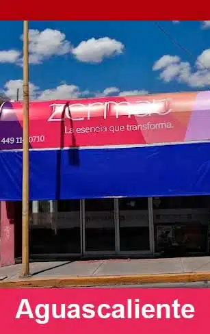 zermat Aguascalientes