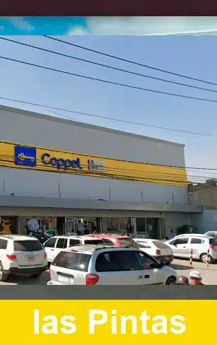 coppel las pintas