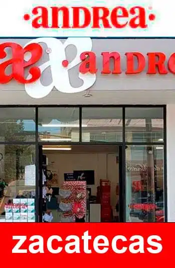 zapatos Andrea zacatecas