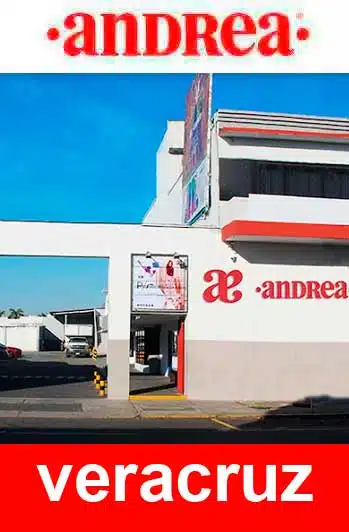 zapatos andrea veracruz