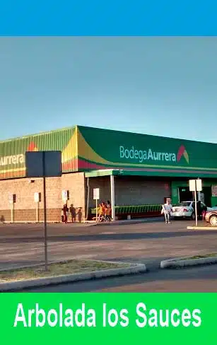 Bodega Aurrera Arbolada los Sauces