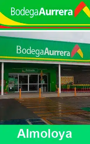 bodega aurrera almoloya