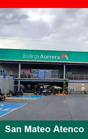 bodega aurrera san mateo atenco