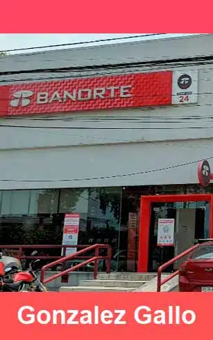 banorte gonzalez gallo
