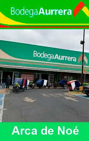 bodega aurrera arca de noe