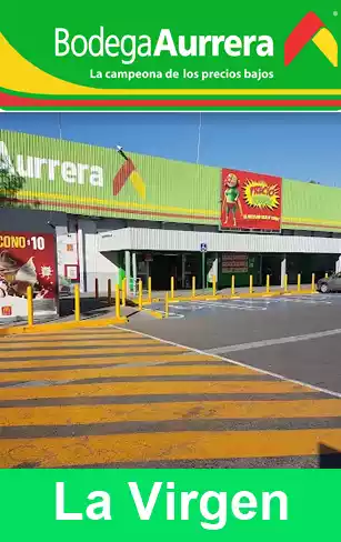 bodega aurrera la virgen
