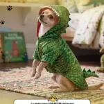 Catalogo Andrea Pets 2026 : disfraces , ropa accesorios catalogo andrea home andrea mascotas