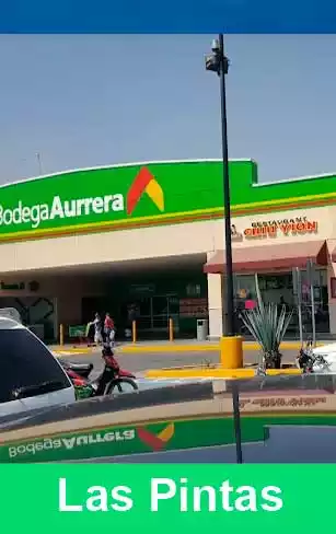 Bodega Aurrera Las Pintas