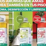 Catalogo Stanhome México C06 2026 catalogo stanhome campaña 06 2026