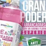 Catálogo Stanhome Campaña C08 2026 catalogo stanhome campaña 08 2026 mexico