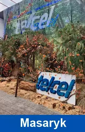 telcel masaryk