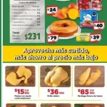 BODEGA AURRERA México > Hasta 30 de julio 2026 bodega aurrera julio 2026