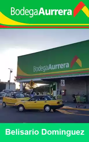 bodega aurrera belisario dominguez