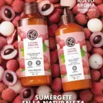 Catálogo YVES ROCHER México Octubre 2026 catalogo yves rocher campaña 14 2026 Mexico (2)